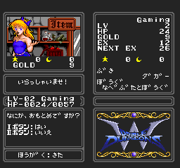 Double dungeons turbografx 2024 16